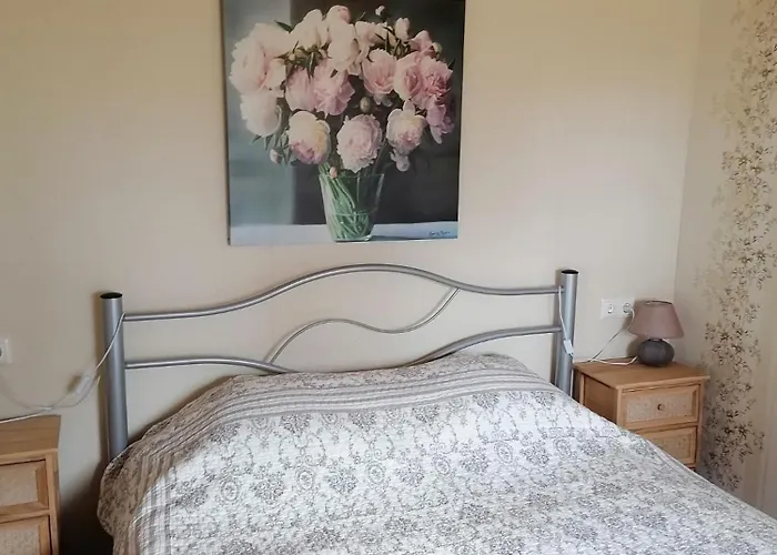 Laasi Puhkemaja Vintri